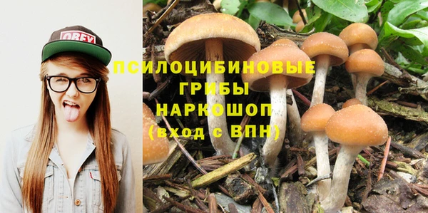 дживик Кукмор