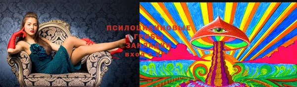 прущая мука Коряжма