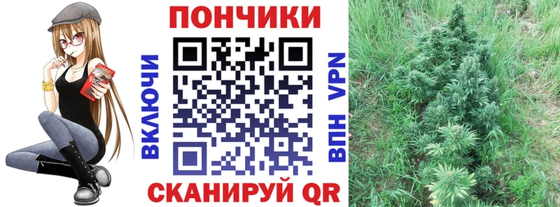 Канабис AK-47  Купить где  Заозёрск 